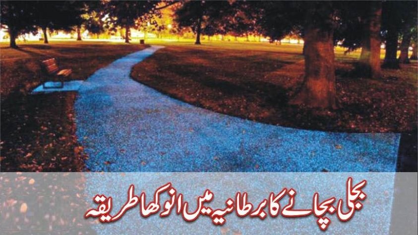 بجلی کی بچت‘ سڑکیں بجلی روشنی کے چمکیں گی‘ واضح طور پر راستہ نظر آئیگا